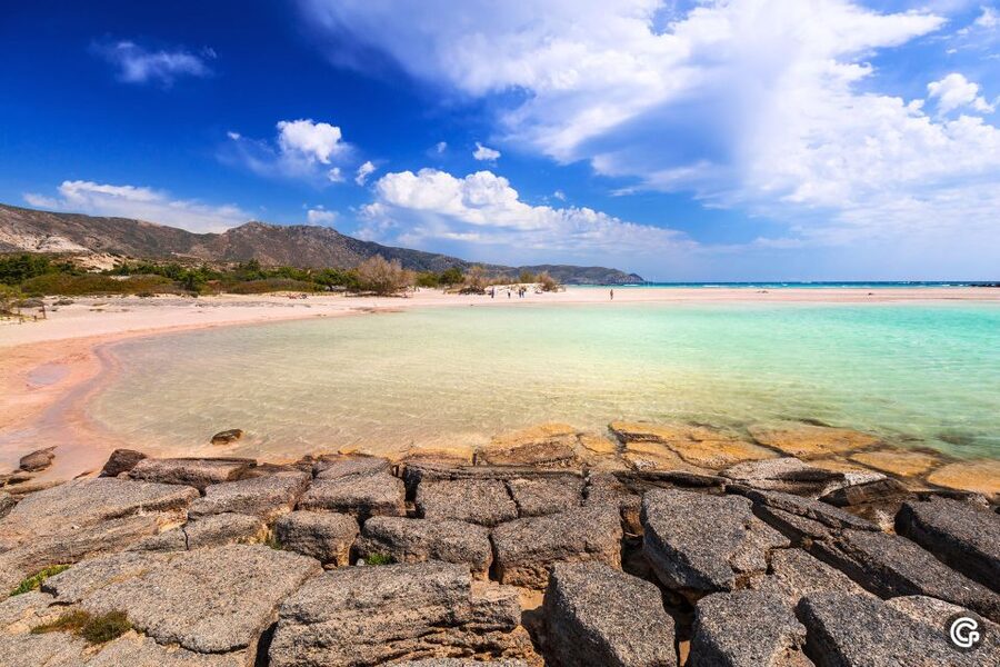 From Chania: Day Trip to Elafonisi Island Pink Sand Beach - Price and value: what you are really paying for
