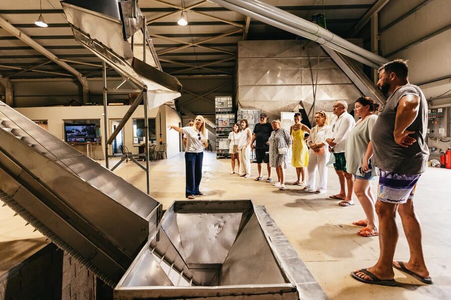 From Chania: Elafonisi and Falasarna Guided Tour with Snacks - Should you book SeaByBus Explore Crete’s Elafonisi and Falasarna tour?