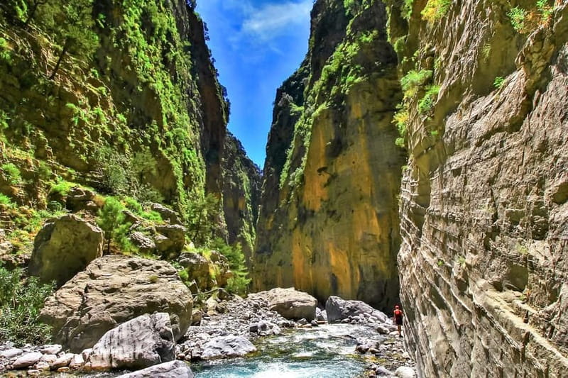 From Chania: Full-Day Samaria Gorge Trek Excursion & Guide - Entering the Samaria Gorge: river crossings, old trees, and real footing