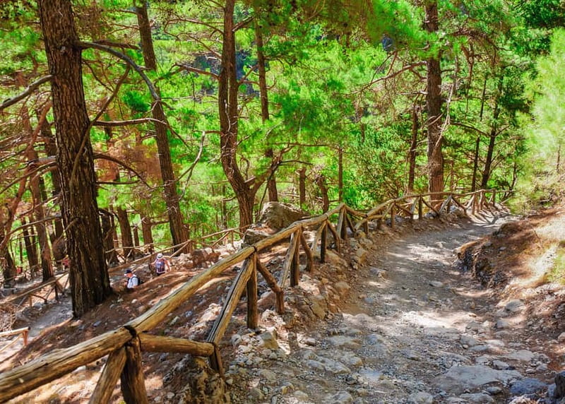 From Chania: Full-Day Samaria Gorge Trek Excursion & Guide - Agia Roumeli: village time, swimming, and a chance to reset
