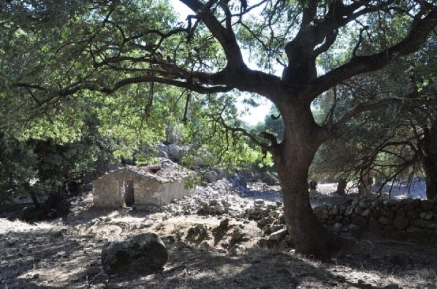 From Chania: Imbros Gorge Guided Hike and Village Visit - Why this Imbros Gorge day trip feels efficient from Chania