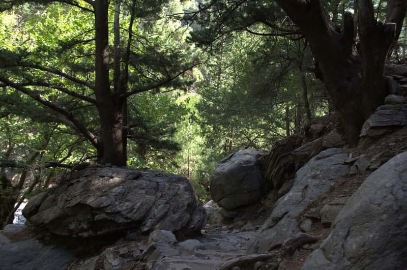 From Chania: Samaria Gorge Hike with Local Mountain Guide - What to bring (and what to leave at home)