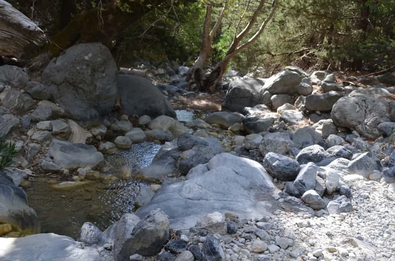 From Chania: Samaria Gorge Hike with Local Mountain Guide - Inside the gorge: rock formations, plants, and the Kri-Kri moment