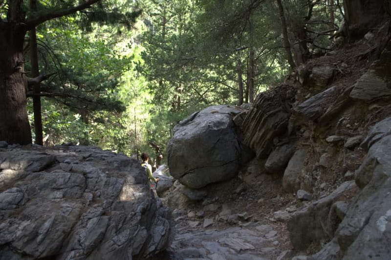 From Chania: Samaria Gorge Hike with Local Mountain Guide - The part that tests your body: footing, steep descent, and smart pacing