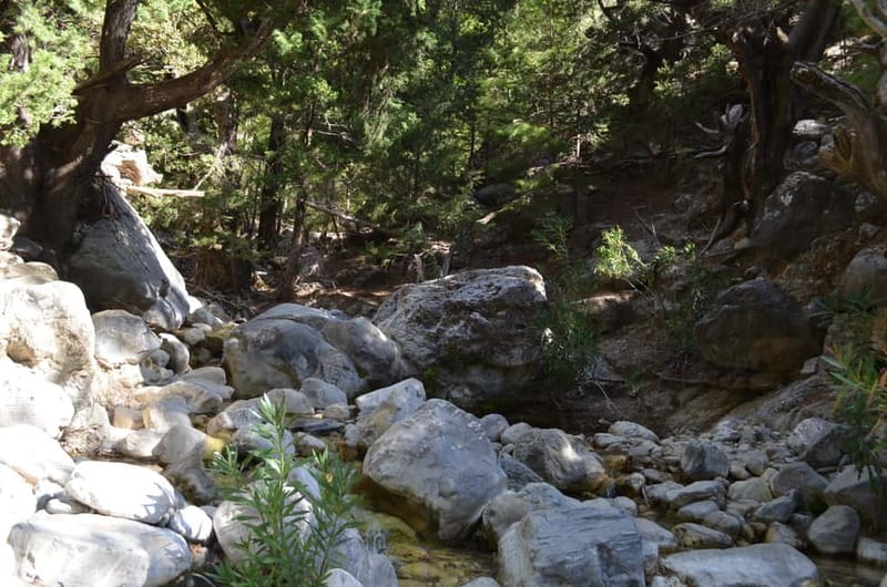 From Chania: Samaria Gorge Hike with Local Mountain Guide - Water and rest stops: why you should carry enough, but not too much