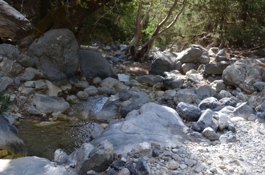 From Chania: Samaria Gorge Hike with Local Mountain Guide - Price and value: what $36 really covers, and what to plan for next