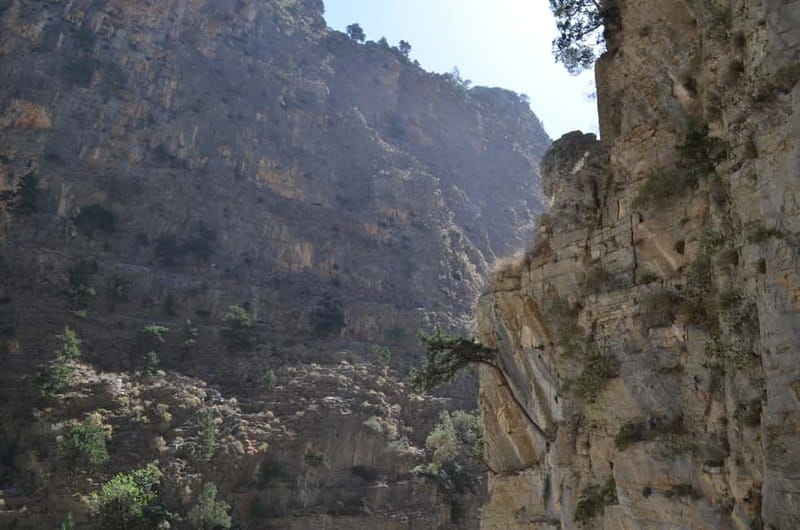 From Chania: Samaria Gorge Hike with Local Mountain Guide - The Chania to Omalos Plateau bus ride, your real warm-up day