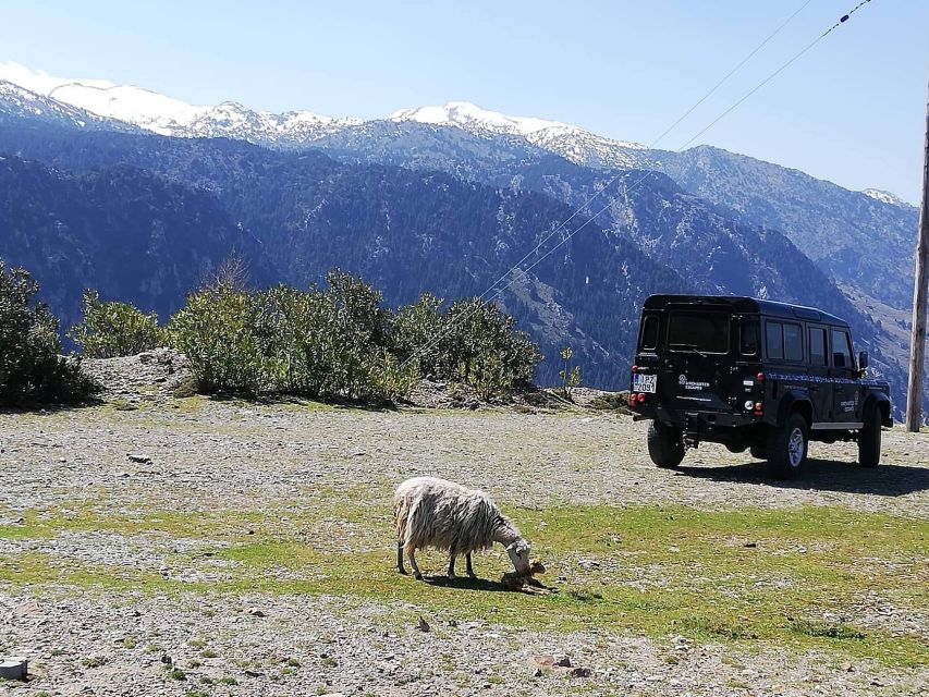 From Chania: White Mountains Land Rover Safari - Key highlights worth your attention