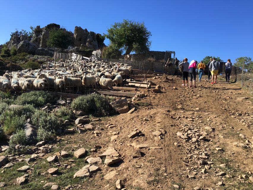From Chania: White Mountains Land Rover Safari - Panoramas from 1,350 meters, plus a chance at eagles and wild goats
