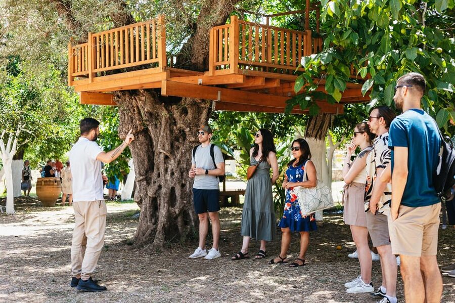 From Chania: Wine and Olive Oil Tasting Tour with Snacks - Key Highlights Worth Marking on Your Map