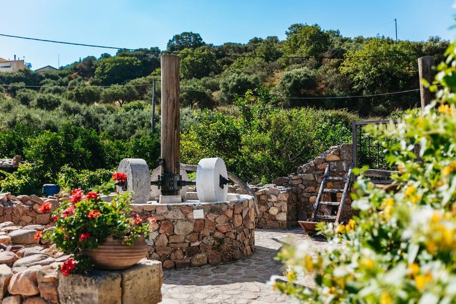 From Chania: Wine and Olive Oil Tasting Tour with Snacks - Second Winery in the Kissamos Area: White Wine Blend Tasting