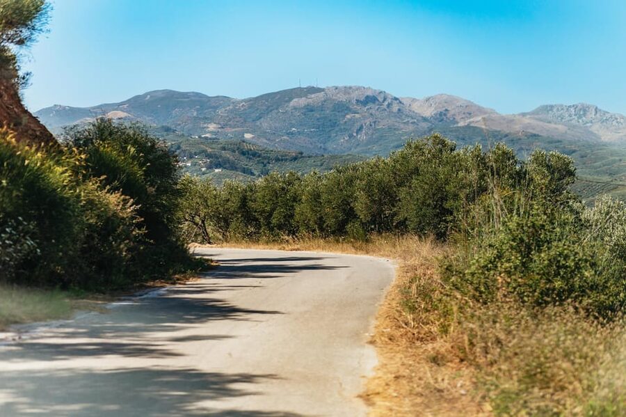 From Chania: Wine and Olive Oil Tasting Tour with Snacks - Who This Tour Fits Best