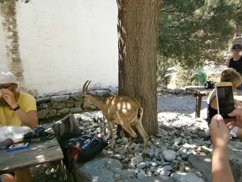 From Georgioupolis: Roundtrip Transfer to Samaria Gorge - The Big Picture: A National Park Hike That Ends at the Sea