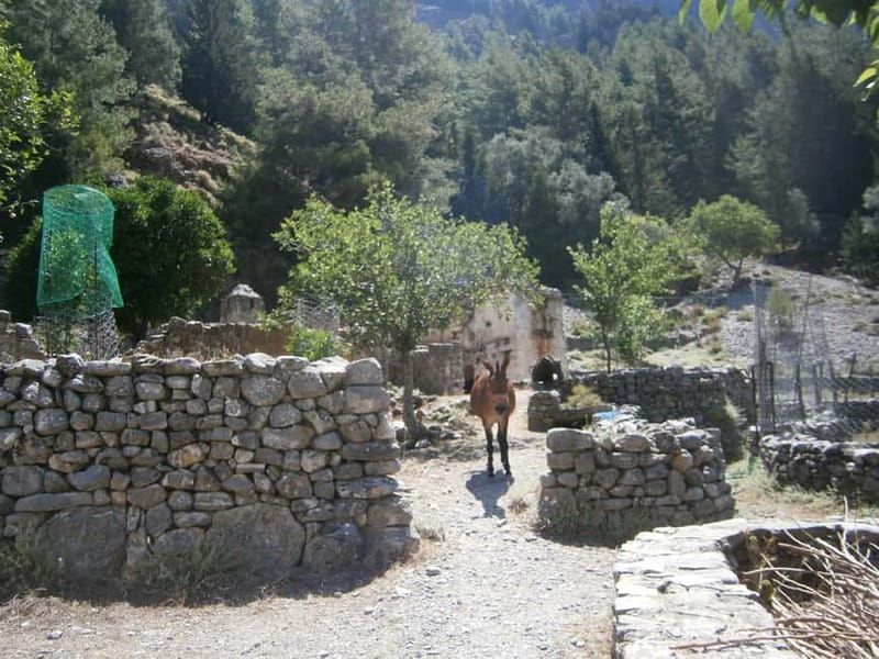 From Georgioupolis: Roundtrip Transfer to Samaria Gorge - Entering the Gorge at 1,200 m: What the Start Feels Like