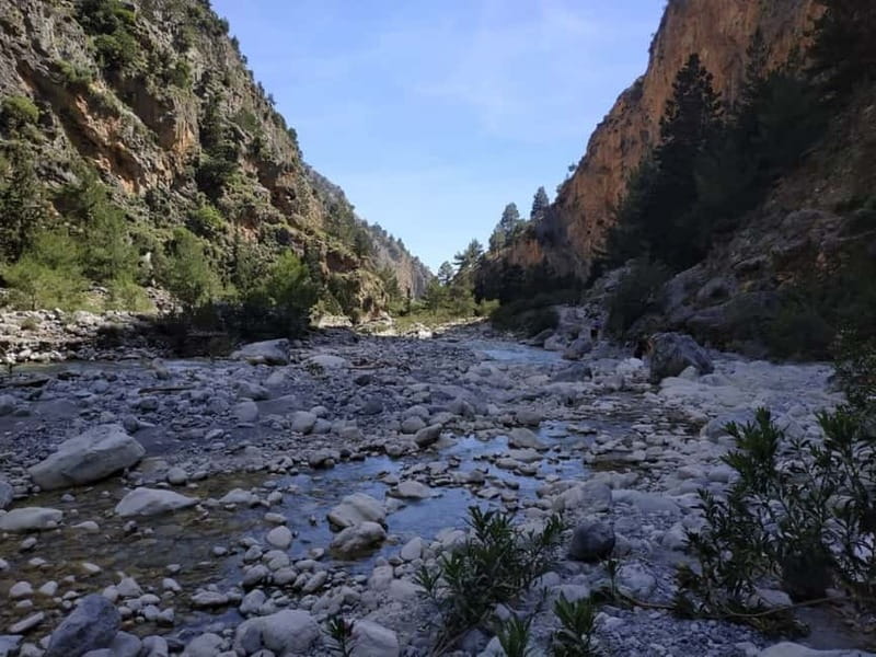 From Georgioupolis: Roundtrip Transfer to Samaria Gorge - Kri Kri Goats and the Gorge’s Living Details