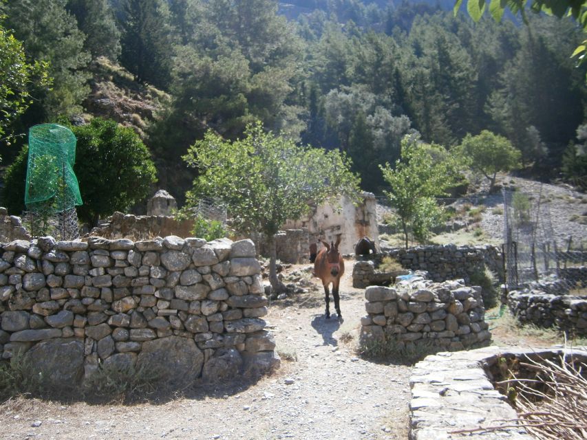 From Georgioupolis: Roundtrip Transfer to Samaria Gorge - Ayia Roumeli at the Finish: Swim, Lunch-Style, or Just Sit