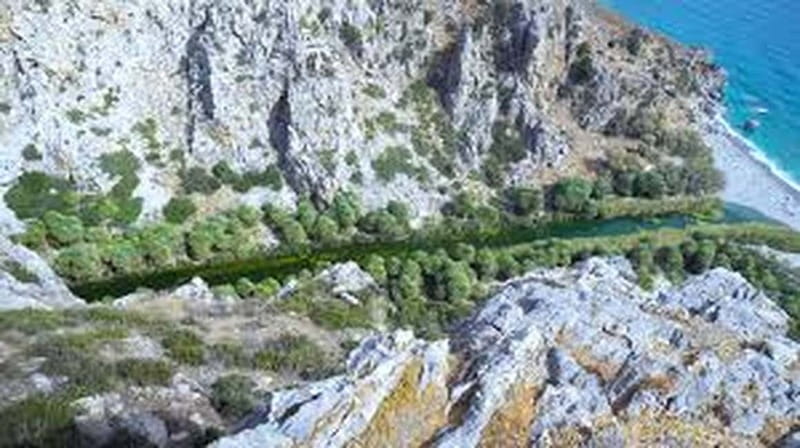 From Herakleion: Day Trip to Preveli Palm River Beach - Hiking the Grand River and Theophrastus palms
