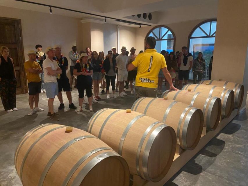 From Heraklion: Matala Beach - Caves & winery Full Day tour - Who This Tour Fits Best (and who should think twice)
