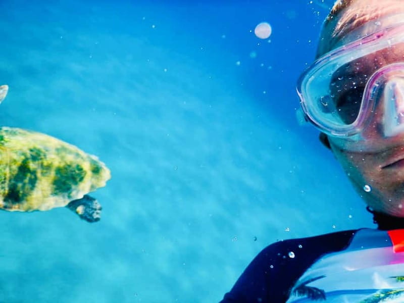 From Milopotas: Ios Island Scenic Snorkeling Cruise - Secluded bays by boat: the part that makes Ios feel bigger