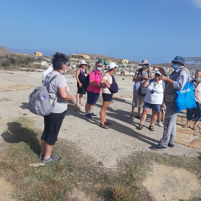 From Mykonos: Ancient Delos Tour - Sanctuary of Artemis and the Terrace of the Lions photo stop