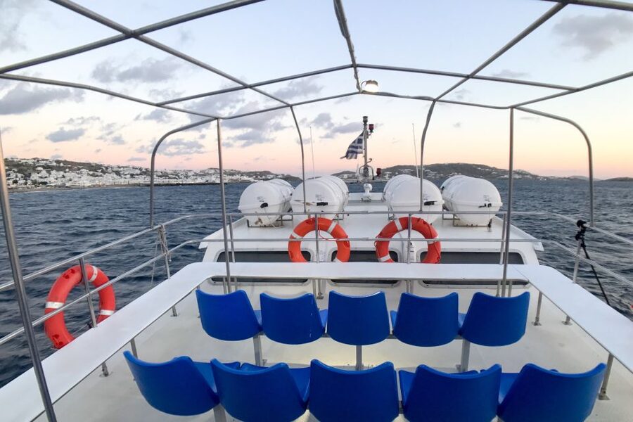 From Mykonos Cruise Port: Delos Guided Tour - Why Delos is worth the effort from Mykonos