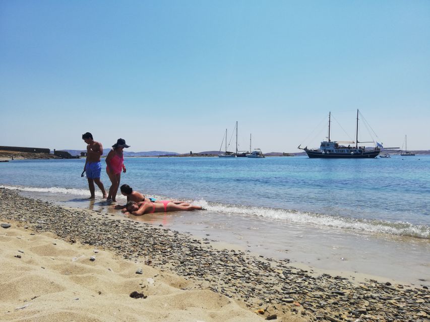 From Mykonos: Cruise to Delos and Rhenia with Lunch - Key highlights worth knowing