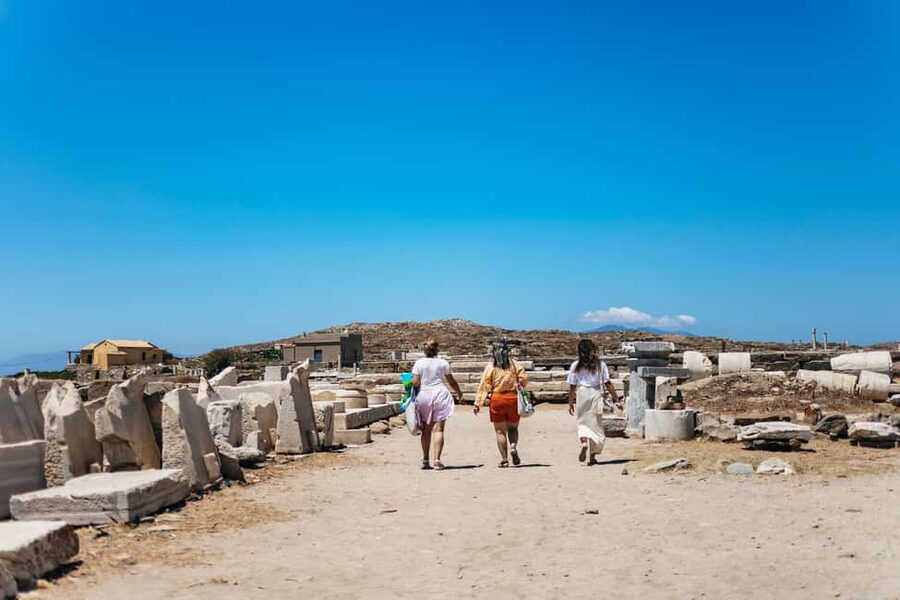 From Mykonos: Cruise to Delos and Rhenia with Lunch - Delos archaeological site: Apollo and Artemis, plus Dionysus and Cleopatra