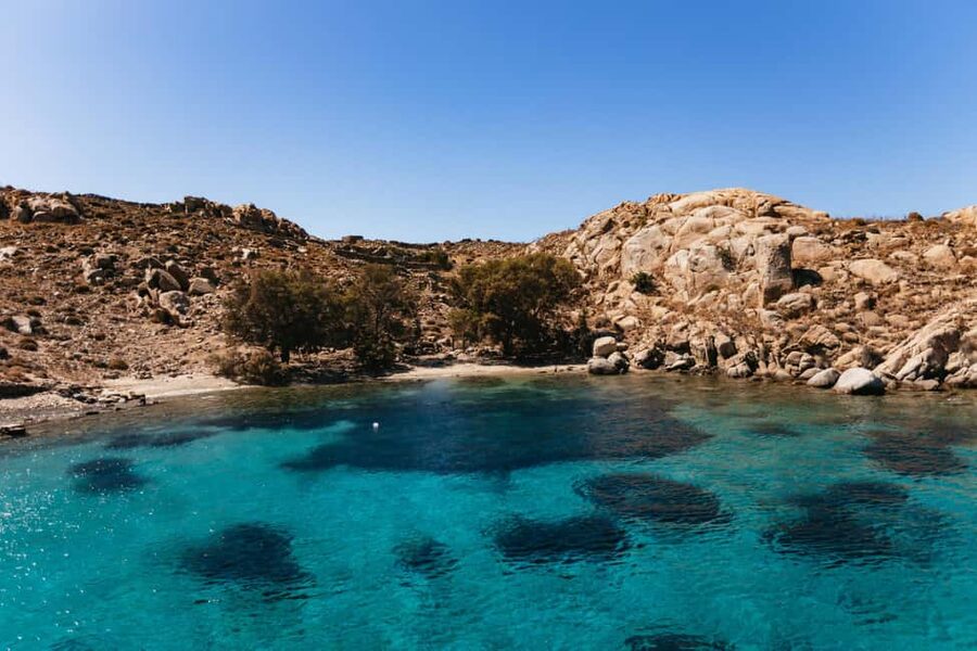 From Mykonos: Cruise to Delos and Rhenia with Lunch - Timing at Delos: plan for real exploration, not a drive-by