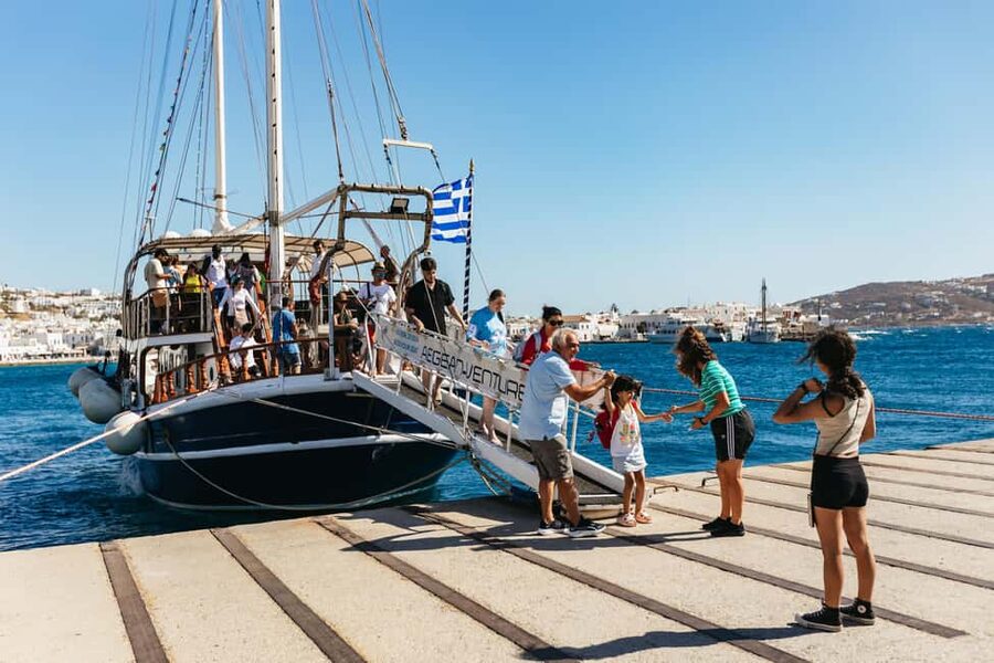 From Mykonos: Cruise to Delos and Rhenia with Lunch - Who should book this cruise, and who might skip it