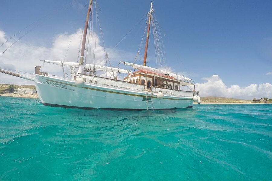From Mykonos: Delos & Rhenia Islands Half-Day Trip by Boat - Rhenia Island: the swim-and-BBQ block that makes the trip worth it