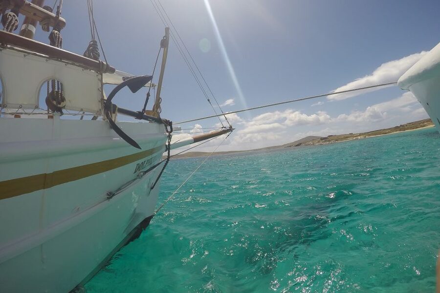 From Mykonos: Delos & Rhenia Islands Half-Day Trip by Boat - The return ride: music, dancing, and the “ship’s atmosphere” factor