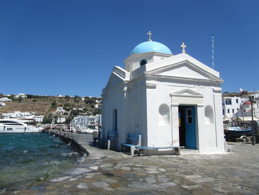 From Naxos: Delos and Mykonos Full-Day Boat Trip - Should you book this Delos and Mykonos day trip?