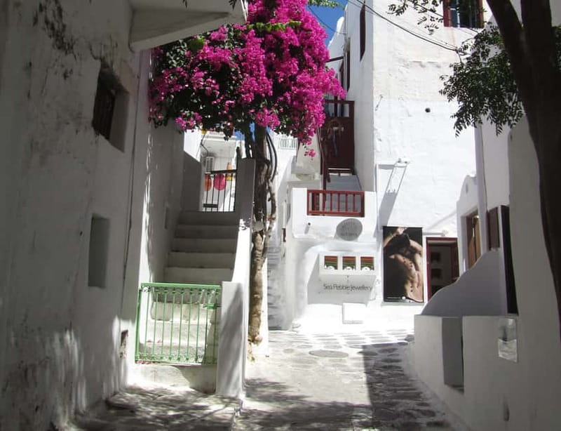 From Naxos: Round day trip to Mykonos Island - Archaeological Museum, cocktails, and Little Venice views