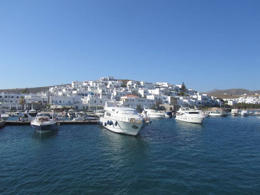 From Paros: Day Trip to Mykonos - Who this day trip suits best