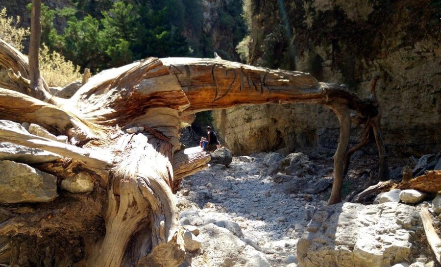 From Rethymno/Chania: Imbros Gorge Hike - Chora Sfakion beach time, lunch, and fortress views