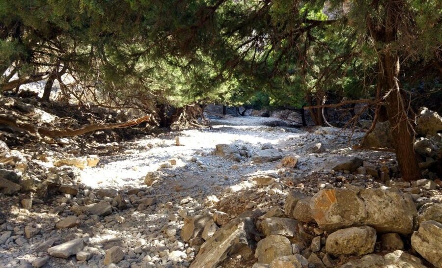 From Rethymno/Chania: Imbros Gorge Hike - From Rethymno or Chania to the White Mountains: a smooth start
