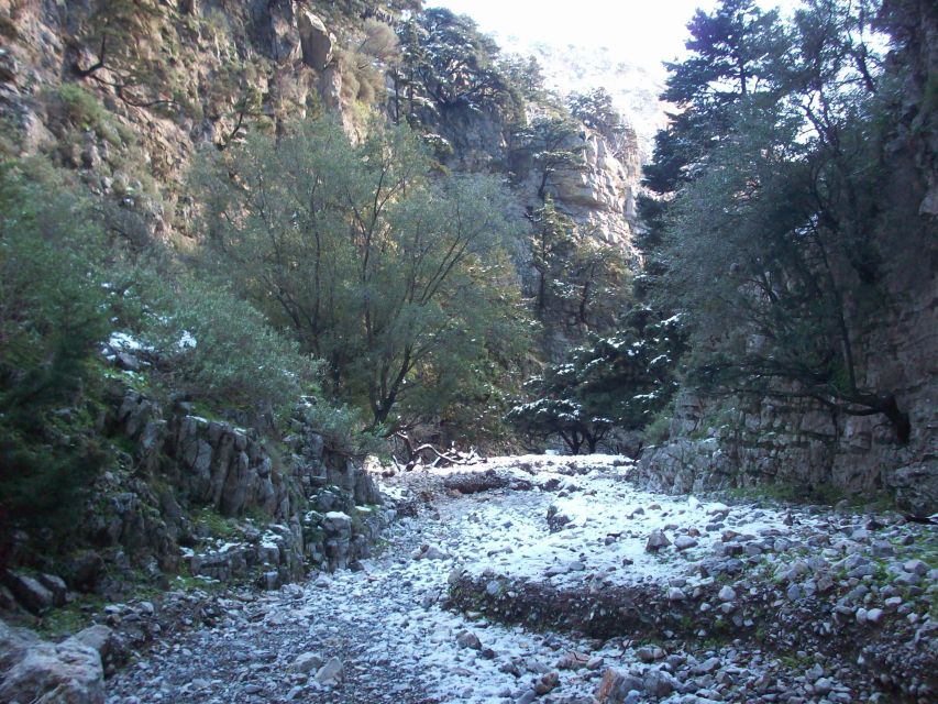 From Rethymno: Imbros Gorge & Libyan Guided Sea Tour - Key Highlights You’ll Feel the Moment You Arrive