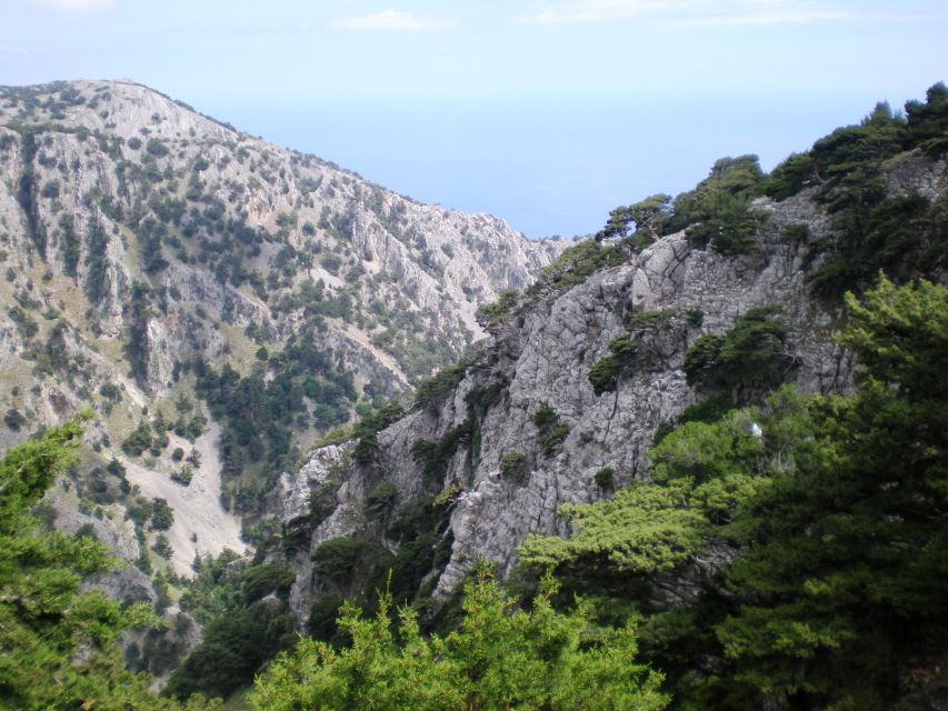 From Rethymno: Imbros Gorge & Libyan Guided Sea Tour - What to Bring, What to Wear: Your “No Regrets” Checklist
