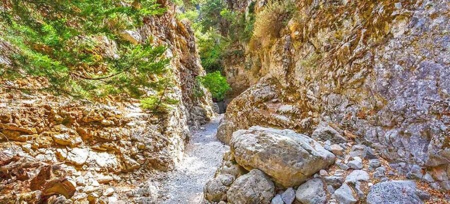 From Rethymno: Imbros Gorge & Libyan Guided Sea Tour - The Gorge Walk Itself: Narrow, Scenic, and Very Manageable