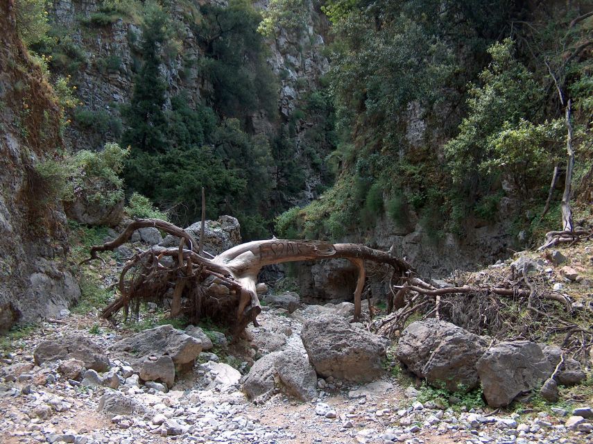 From Rethymno: Imbros Gorge & Libyan Guided Sea Tour - Libyan Sea Swim and South-Coast Lunch: Cooling Off the Right Way