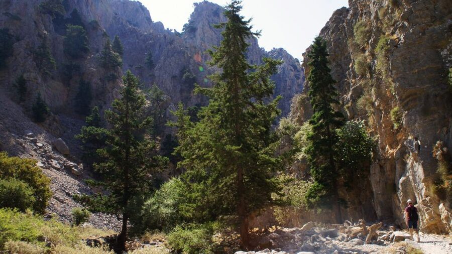 From Rethymno: Imbros Gorge & Libyan Guided Sea Tour - Price and Value: How $34 Really Adds Up