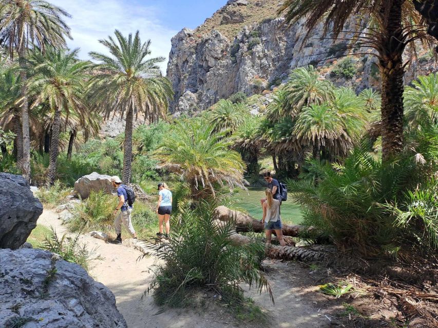 From Rethymno: Kourtaliotiko, Preveli Palm Beach, & Damnoni - The 30 minute boat trip to Preveli Palm Beach