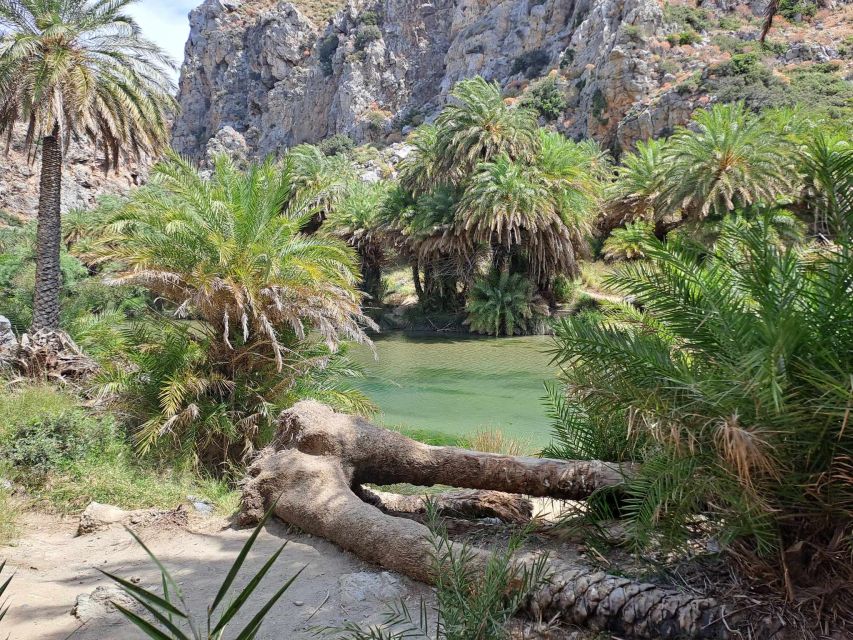 From Rethymno: Kourtaliotiko, Preveli Palm Beach, & Damnoni - Kourtaliotiko Gorge waterfalls: the hike part you should prepare for