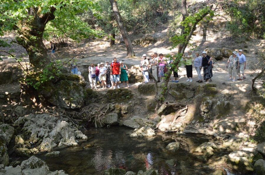 From Rhodes: Bus Tour to Lindos and the Seven Springs - Pickup, Coach Comfort, and How the Timing Feels in Real Life