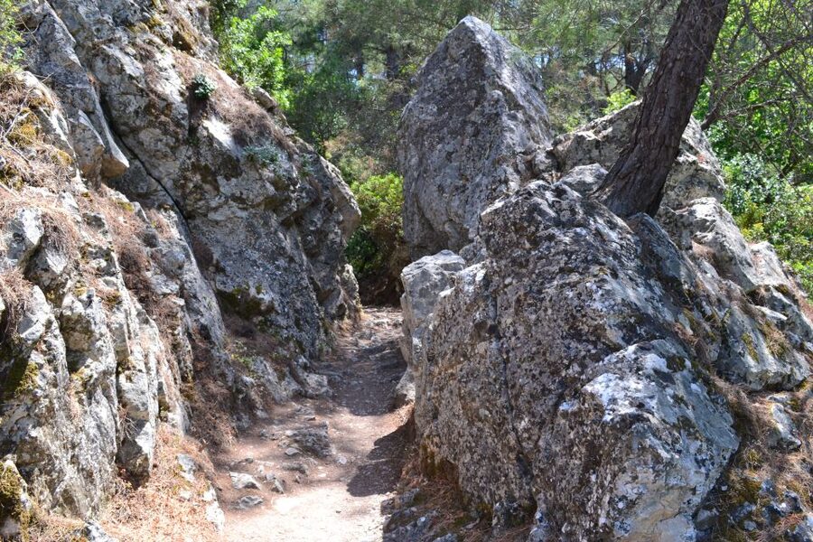From Rhodes: Lindos and 7 Springs Valley Bus Tour - Should you book this Lindos and Seven Springs bus tour from Rhodes?