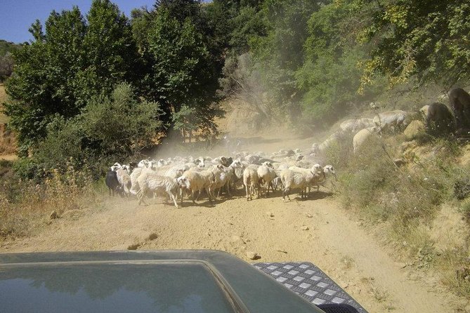 Full-Day Land Rover Safari from Heraklion with Lunch - Lunch at a Local Tavern: Why the Included Meal Feels Worth It