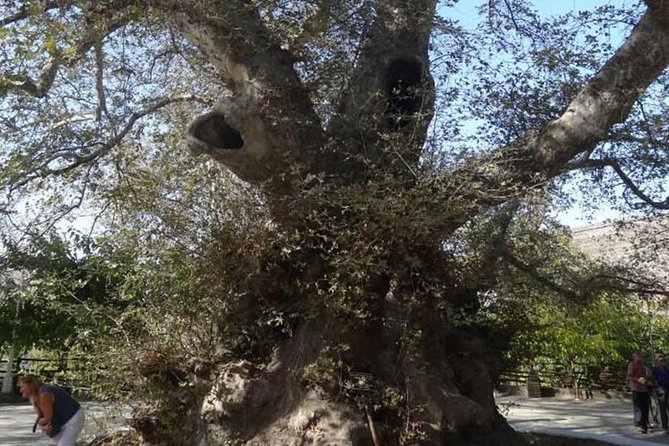 Full-Day Land Rover Safari from Heraklion with Lunch - Lassinthos Eco Park and Seli Village on the Plateau: Craft and Farm Life Without the Hard Sell