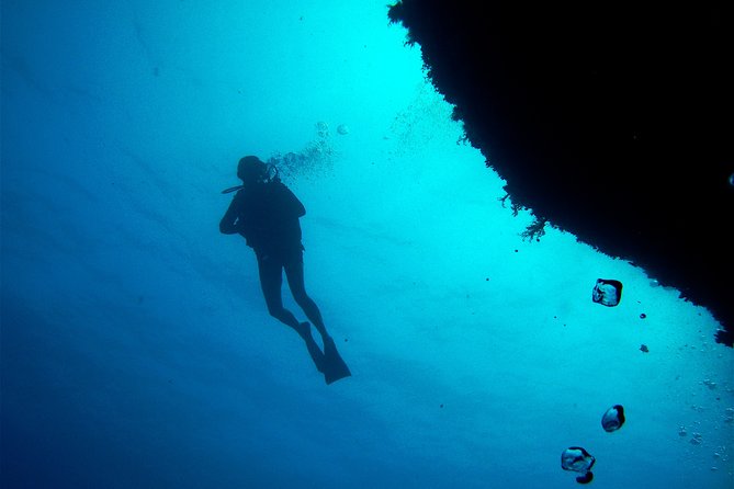 (Full day)Scuba Diving in Rhodes - Who should book this, and who should skip it