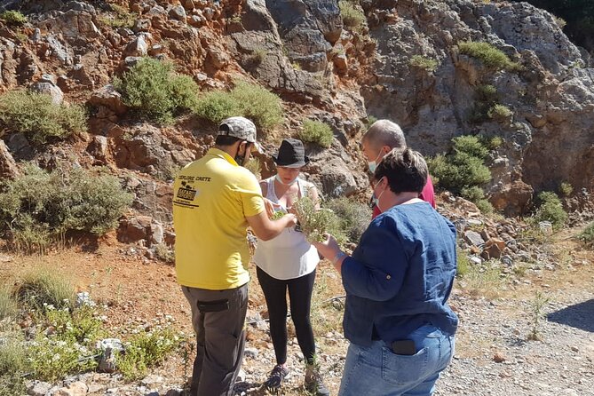 Full-Day Small-Group Tour in Crete with Zeus Cave Visit - Aposelemis Dam: Submerged Village Houses and a Wetland Break