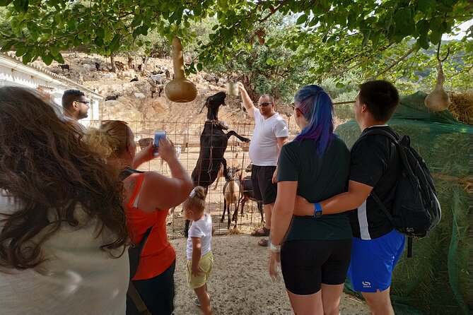 Full-Day Small-Group Tour in Crete with Zeus Cave Visit - Pickup, Small-Group Size, and the Pace You Should Expect